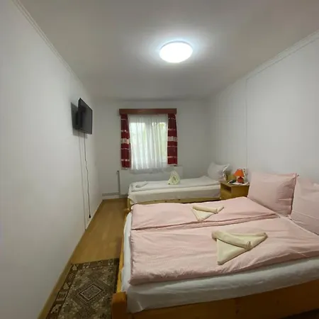 Dobra Haz Guest house Covasna